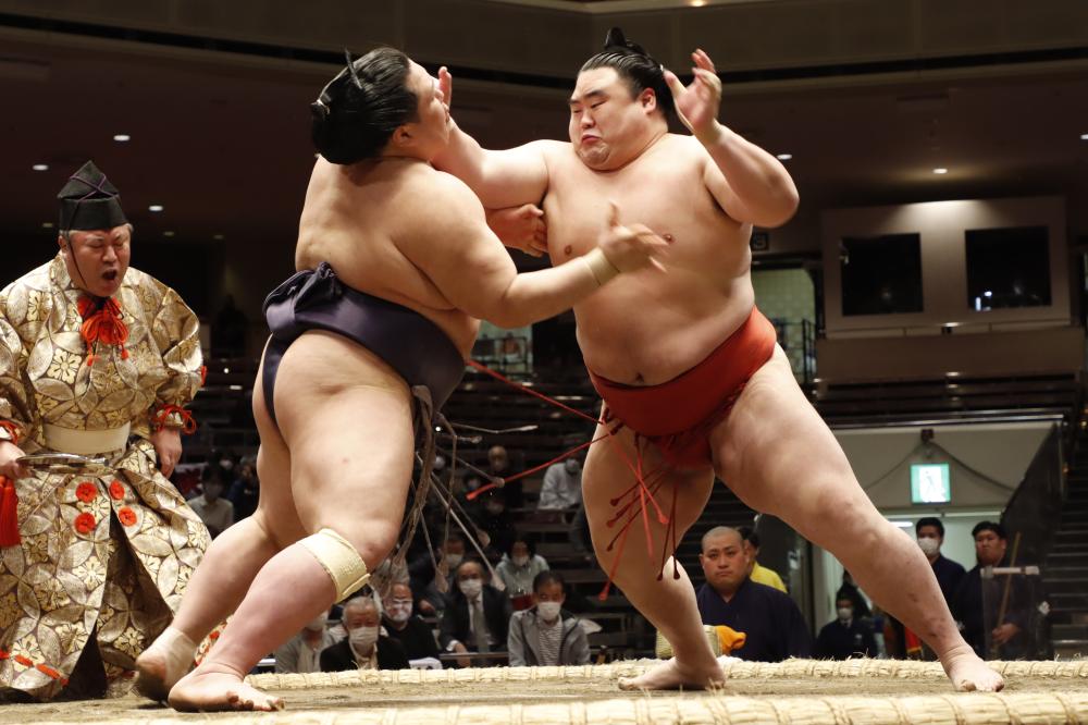 sumo tournament